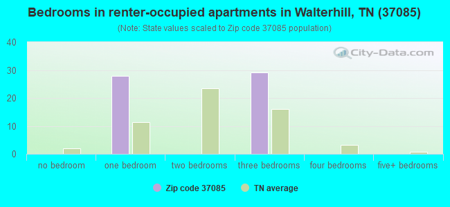 Bedrooms in renter-occupied apartments in Walterhill, TN (37085) 