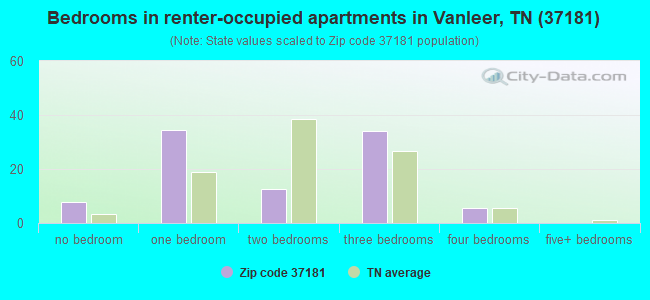 Bedrooms in renter-occupied apartments in Vanleer, TN (37181) 