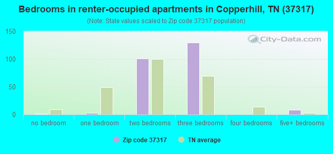 Bedrooms in renter-occupied apartments in Copperhill, TN (37317) 
