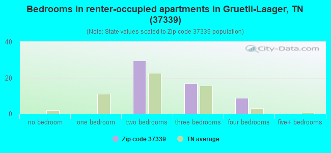 Bedrooms in renter-occupied apartments in Gruetli-Laager, TN (37339) 