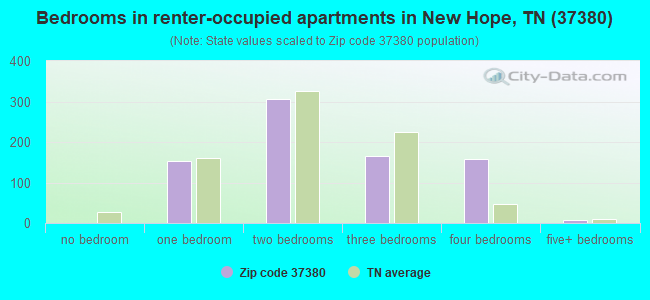Bedrooms in renter-occupied apartments in New Hope, TN (37380) 