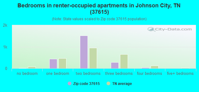 Bedrooms in renter-occupied apartments in Johnson City, TN (37615) 