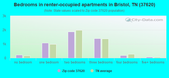Bedrooms in renter-occupied apartments in Bristol, TN (37620) 