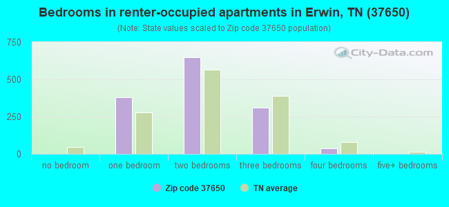 Bedrooms in renter-occupied apartments in Erwin, TN (37650) 