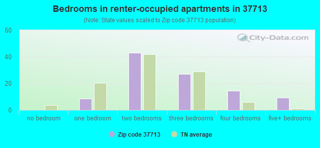 Bedrooms in renter-occupied apartments in 37713 