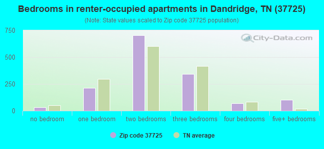 Bedrooms in renter-occupied apartments in Dandridge, TN (37725) 