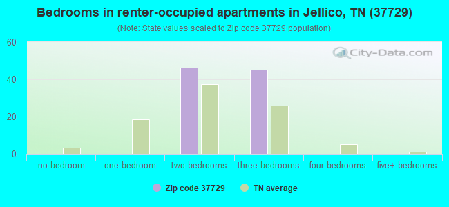 Bedrooms in renter-occupied apartments in Jellico, TN (37729) 
