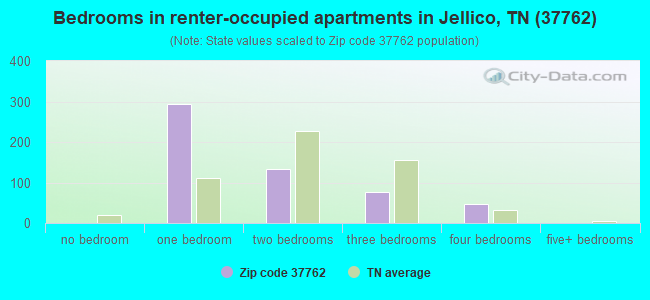 Bedrooms in renter-occupied apartments in Jellico, TN (37762) 