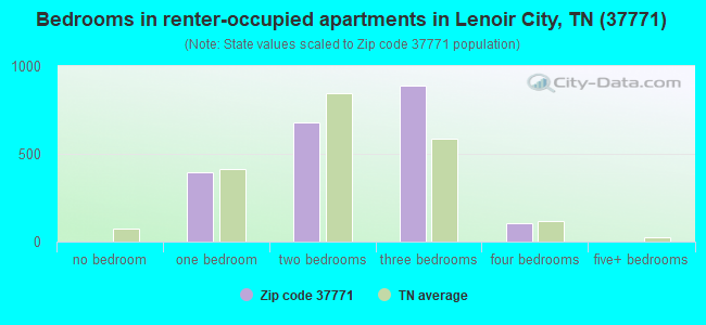 Bedrooms in renter-occupied apartments in Lenoir City, TN (37771) 