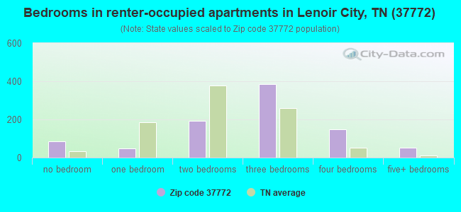 Bedrooms in renter-occupied apartments in Lenoir City, TN (37772) 
