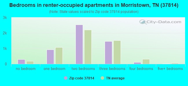 Bedrooms in renter-occupied apartments in Morristown, TN (37814) 
