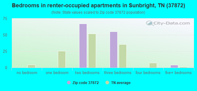 Bedrooms in renter-occupied apartments in Sunbright, TN (37872) 