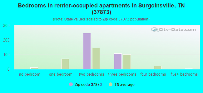 Bedrooms in renter-occupied apartments in Surgoinsville, TN (37873) 