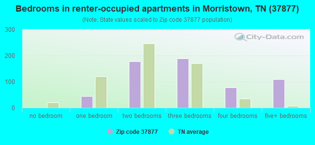 Bedrooms in renter-occupied apartments in Morristown, TN (37877) 