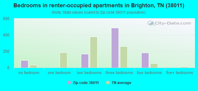 Bedrooms in renter-occupied apartments in Brighton, TN (38011) 