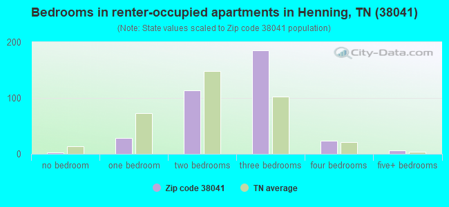 Bedrooms in renter-occupied apartments in Henning, TN (38041) 