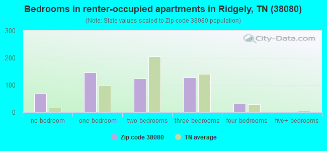 Bedrooms in renter-occupied apartments in Ridgely, TN (38080) 