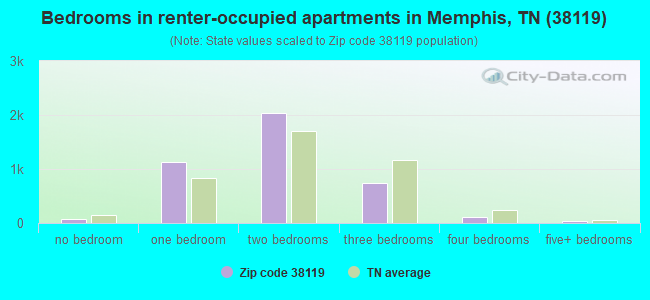 Bedrooms in renter-occupied apartments in Memphis, TN (38119) 