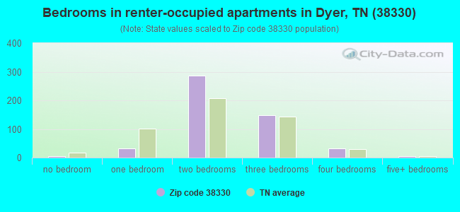 Bedrooms in renter-occupied apartments in Dyer, TN (38330) 
