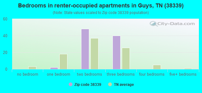 Bedrooms in renter-occupied apartments in Guys, TN (38339) 