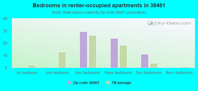 Bedrooms in renter-occupied apartments in 38461 
