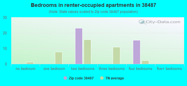 Bedrooms in renter-occupied apartments in 38487 