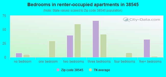 Bedrooms in renter-occupied apartments in 38545 