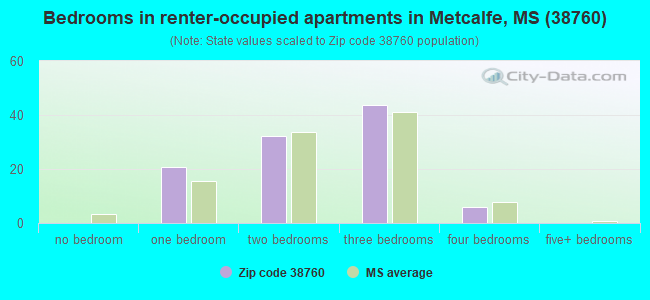 Bedrooms in renter-occupied apartments in Metcalfe, MS (38760) 