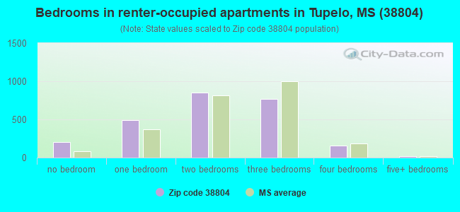 Bedrooms in renter-occupied apartments in Tupelo, MS (38804) 