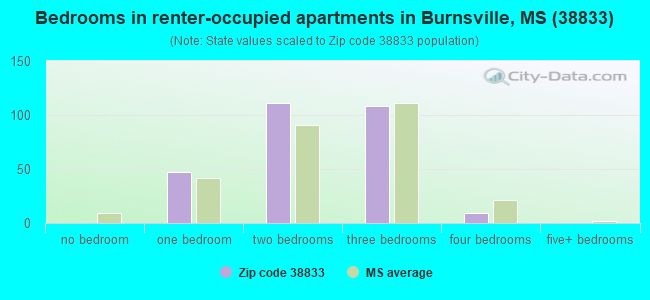 Bedrooms in renter-occupied apartments in Burnsville, MS (38833) 