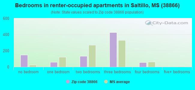 Bedrooms in renter-occupied apartments in Saltillo, MS (38866) 