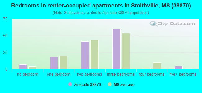 Bedrooms in renter-occupied apartments in Smithville, MS (38870) 