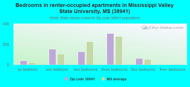 Bedrooms in renter-occupied apartments in Mississippi Valley State University, MS (38941) 