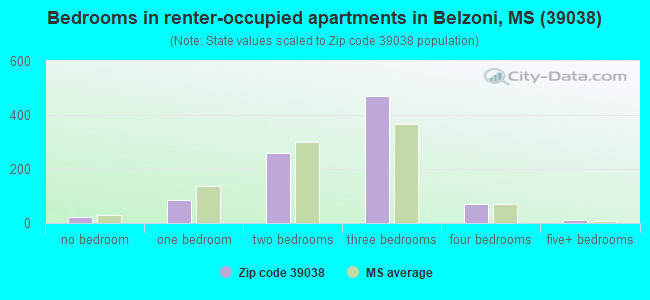 Bedrooms in renter-occupied apartments in Belzoni, MS (39038) 