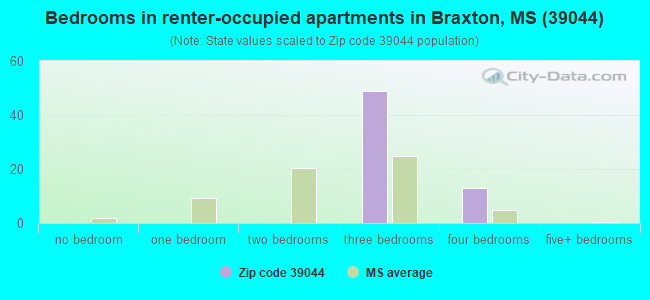 Bedrooms in renter-occupied apartments in Braxton, MS (39044) 
