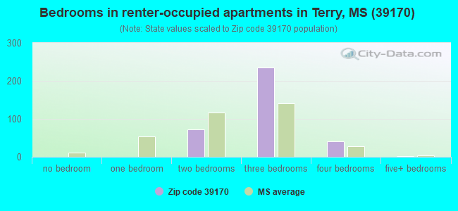 Bedrooms in renter-occupied apartments in Terry, MS (39170) 