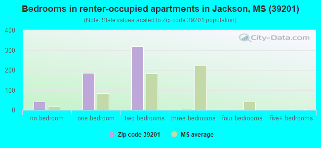 Bedrooms in renter-occupied apartments in Jackson, MS (39201) 
