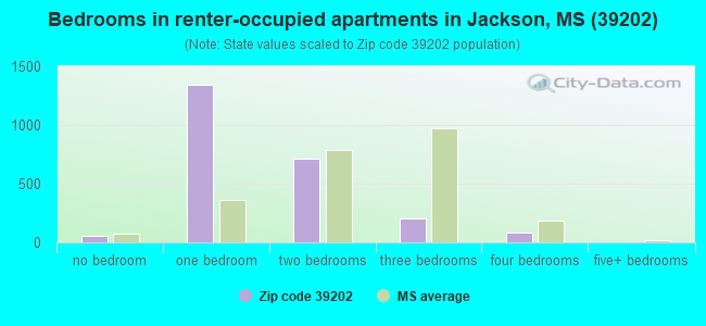 Bedrooms in renter-occupied apartments in Jackson, MS (39202) 