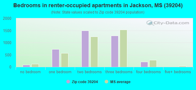 Bedrooms in renter-occupied apartments in Jackson, MS (39204) 