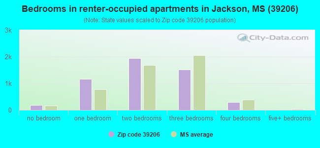 Bedrooms in renter-occupied apartments in Jackson, MS (39206) 