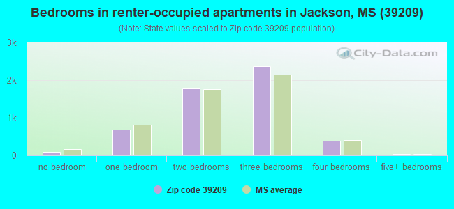 Bedrooms in renter-occupied apartments in Jackson, MS (39209) 