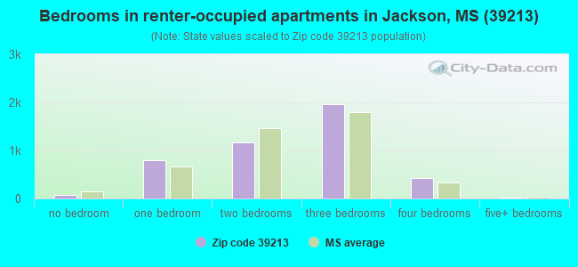 Bedrooms in renter-occupied apartments in Jackson, MS (39213) 