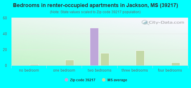 Bedrooms in renter-occupied apartments in Jackson, MS (39217) 