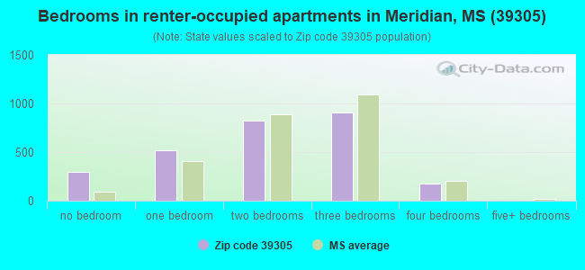 Bedrooms in renter-occupied apartments in Meridian, MS (39305) 