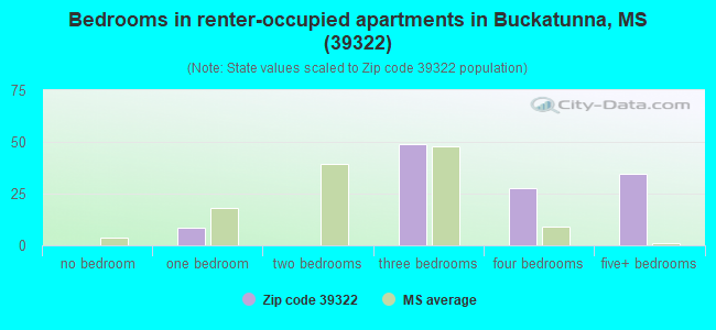 Bedrooms in renter-occupied apartments in Buckatunna, MS (39322) 