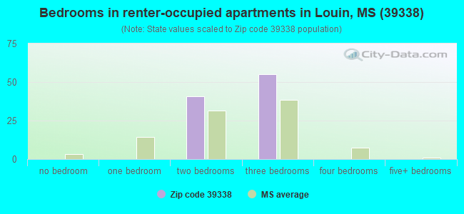 Bedrooms in renter-occupied apartments in Louin, MS (39338) 