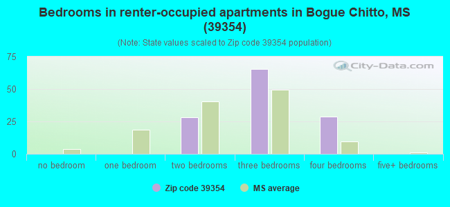 Bedrooms in renter-occupied apartments in Bogue Chitto, MS (39354) 