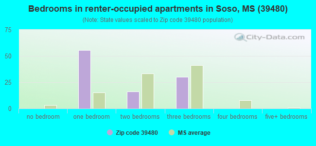 Bedrooms in renter-occupied apartments in Soso, MS (39480) 