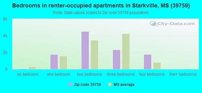 Bedrooms in renter-occupied apartments in Starkville, MS (39759) 