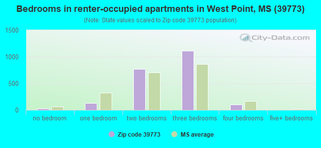 Bedrooms in renter-occupied apartments in West Point, MS (39773) 
